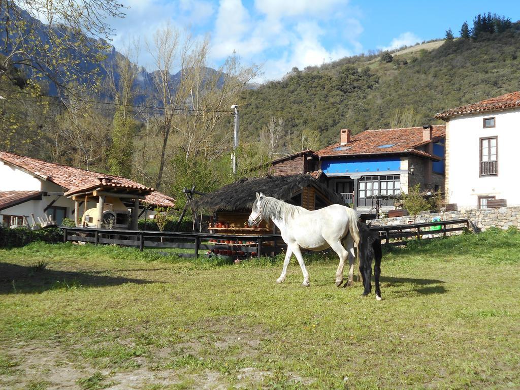 Apartamentos Samelar Camaleño Buitenkant foto