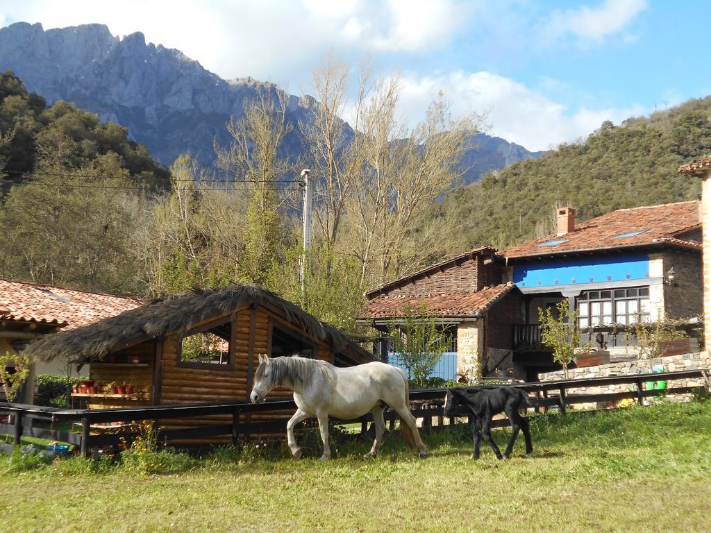 Apartamentos Samelar Camaleño Buitenkant foto